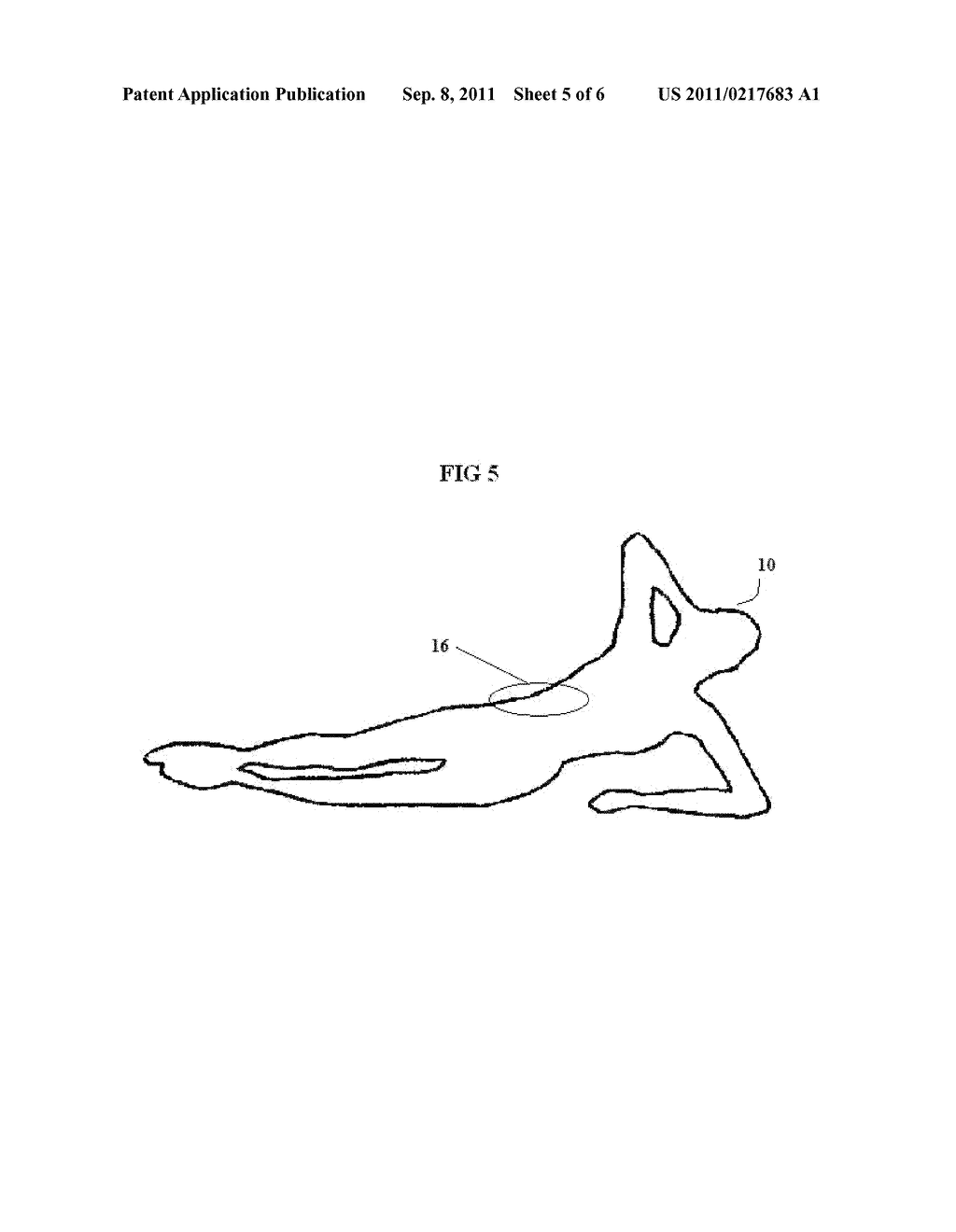 METHODS AND SYSTEMS FOR USING A VISUAL SIGNAL AS A CONCENTRATION AID - diagram, schematic, and image 06