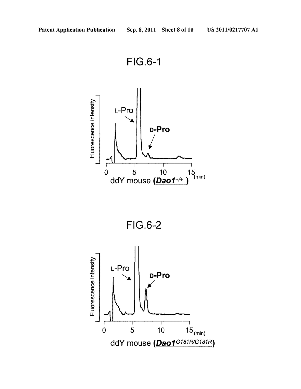 EVALUATION/SCREENING METHOD FOR DISEASES ASSOCIATED WITH D-AMINO ACID     UTILIZING DA01-/-MOUSE - diagram, schematic, and image 09