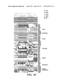 DIAGNOSTIC AND PROGNOSTIC METHODS FOR LUNG DISORDERS USING GENE EXPRESSION     PROFILES FROM NOSE EPITHELIAL CELLS diagram and image