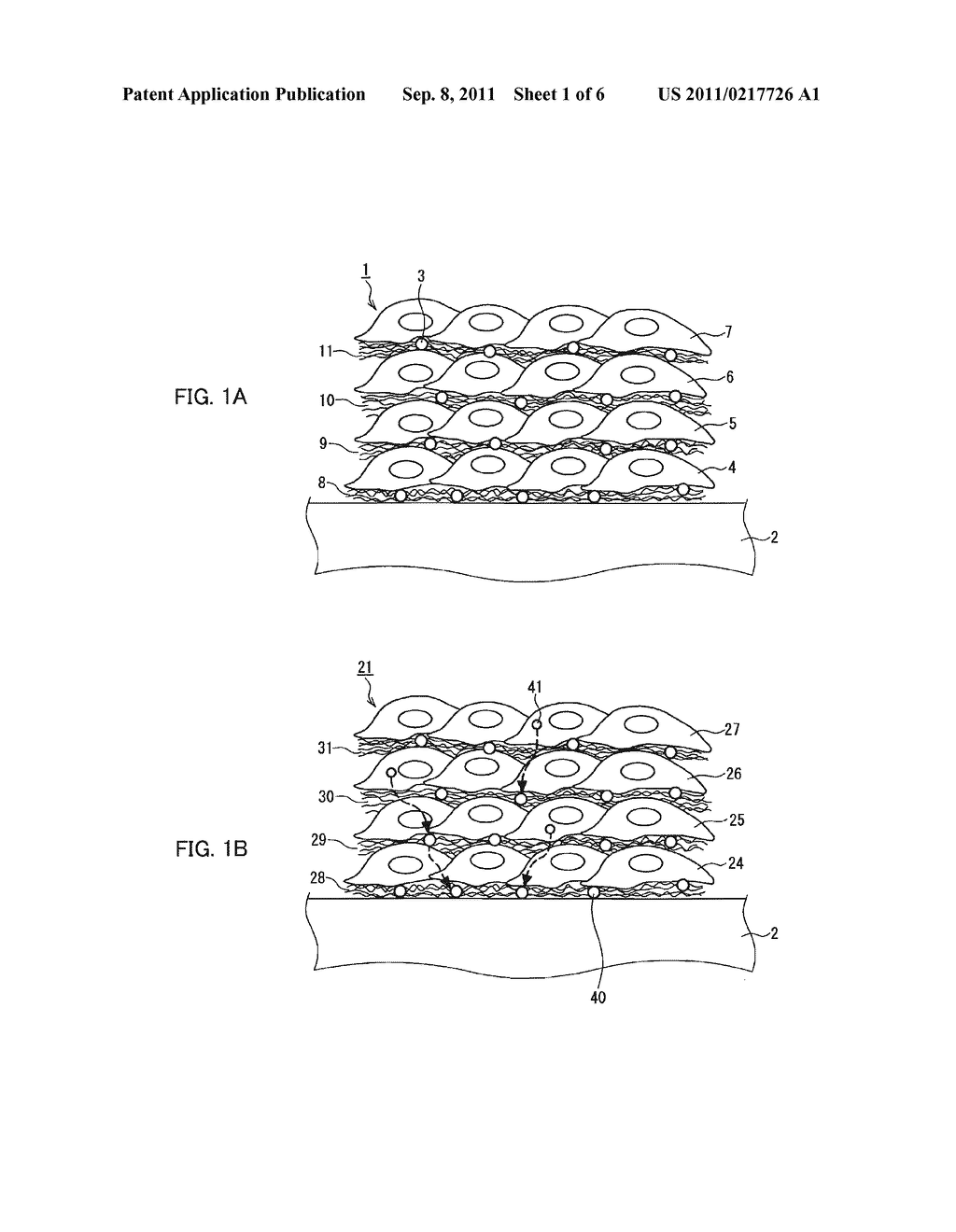 METHOD AND KIT FOR DETECTING BIOLOGICAL SIGNAL OF THREE-DIMENSIONAL CELL     CULTURE MATERIAL - diagram, schematic, and image 02