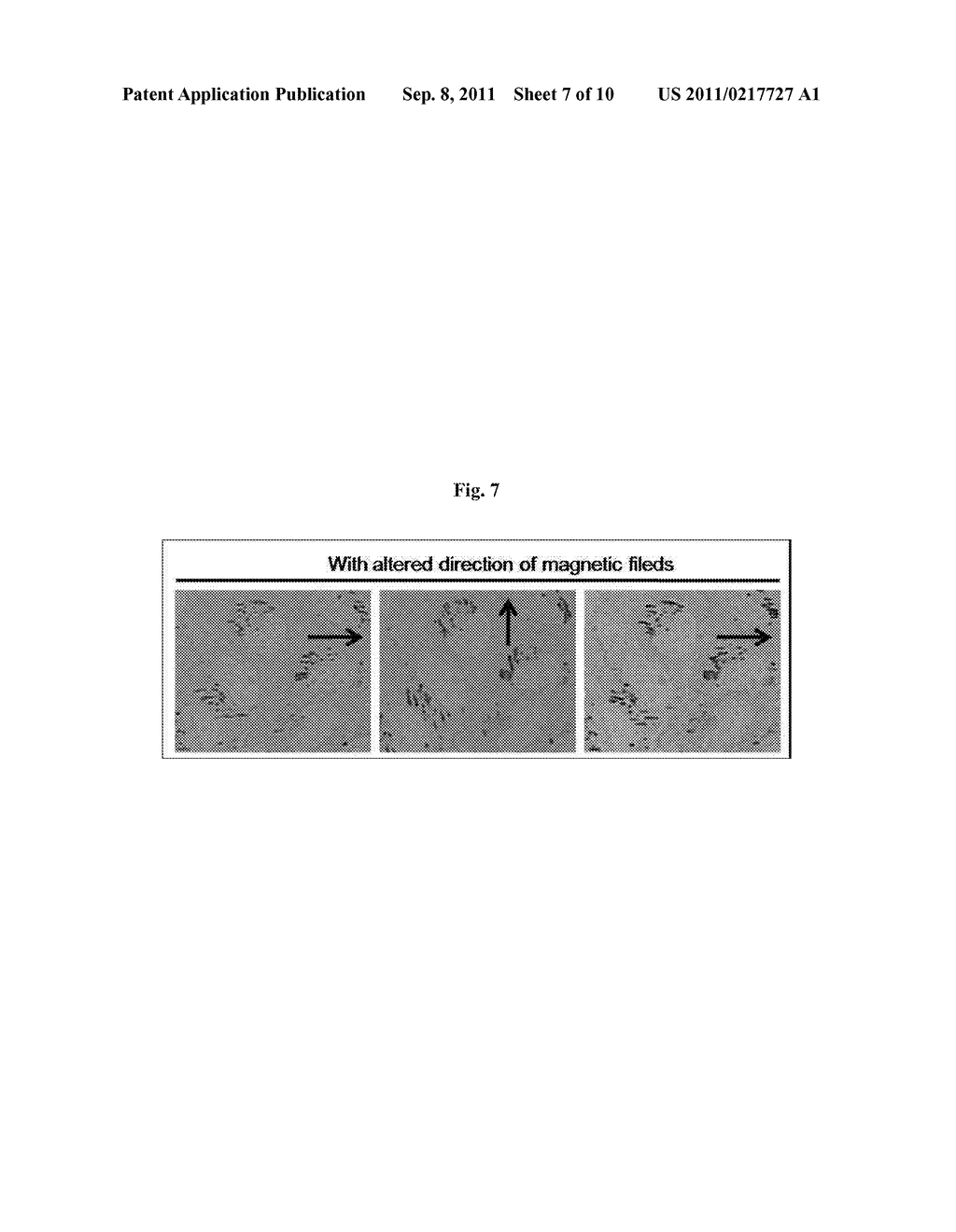 METHOD FOR PATTERNING MAGNETIC MATERIALS IN LIVE CELL, METHOD FOR IMAGING     PATTERN OF MAGNETIC MATERIALS, AND APPARATUS USED FOR SAME - diagram, schematic, and image 08