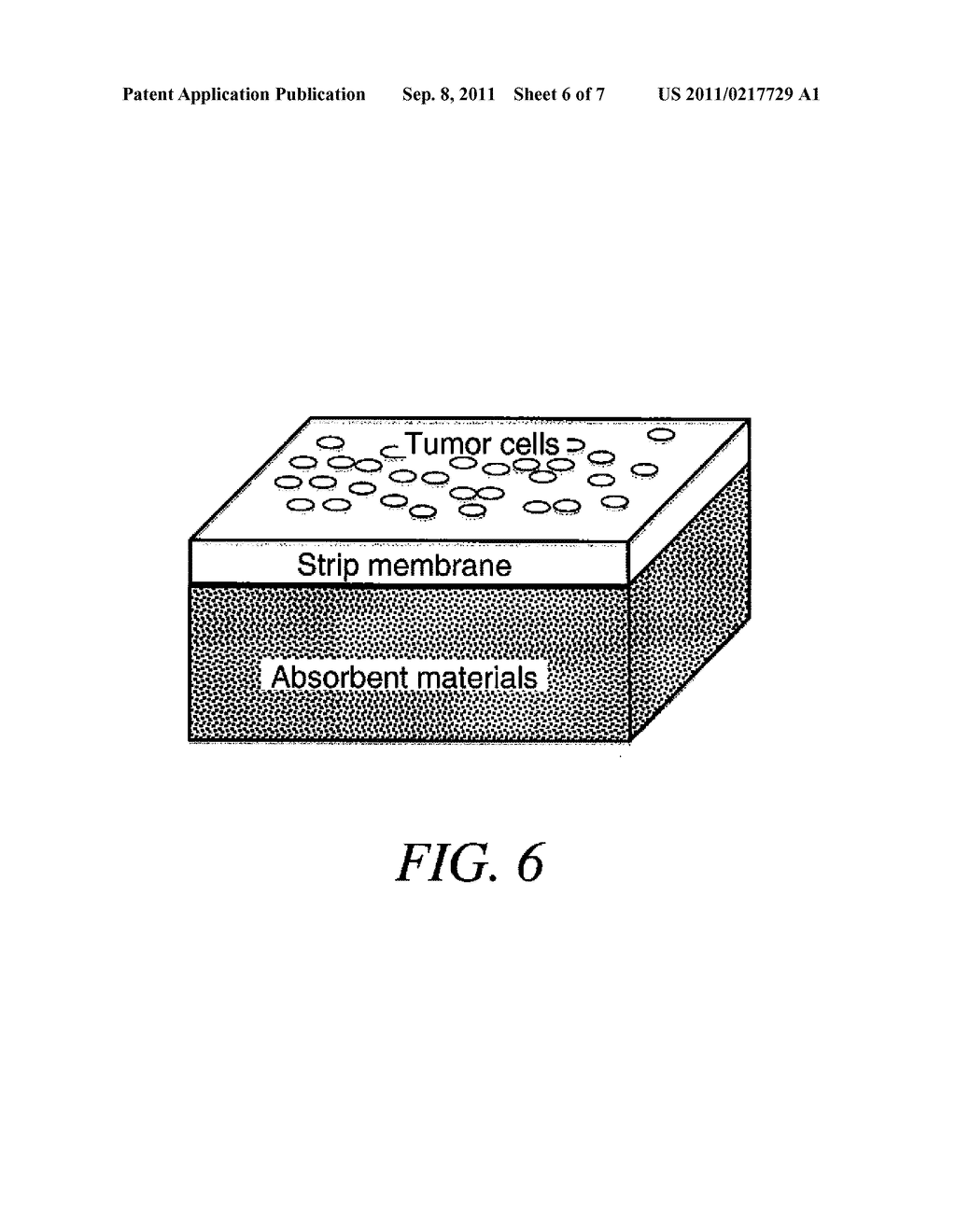 TARGETED CELL SEPARATION AND ENUMERATION DEVICE AND THE USE THEREOF - diagram, schematic, and image 07