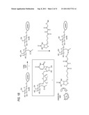 METHOD AND COMPOSITIONS FOR THE DETECTION OF PROTEIN GLYCOSYLATION diagram and image