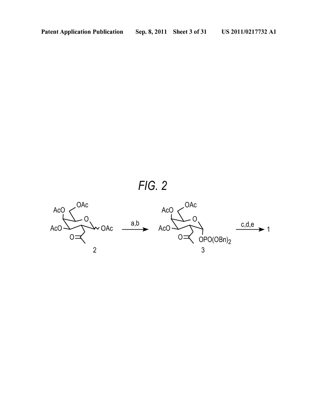 METHOD AND COMPOSITIONS FOR THE DETECTION OF PROTEIN GLYCOSYLATION - diagram, schematic, and image 04