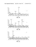 METHOD AND COMPOSITIONS FOR THE DETECTION OF PROTEIN GLYCOSYLATION diagram and image