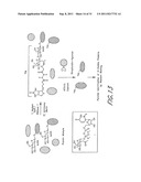 METHOD AND COMPOSITIONS FOR THE DETECTION OF PROTEIN GLYCOSYLATION diagram and image