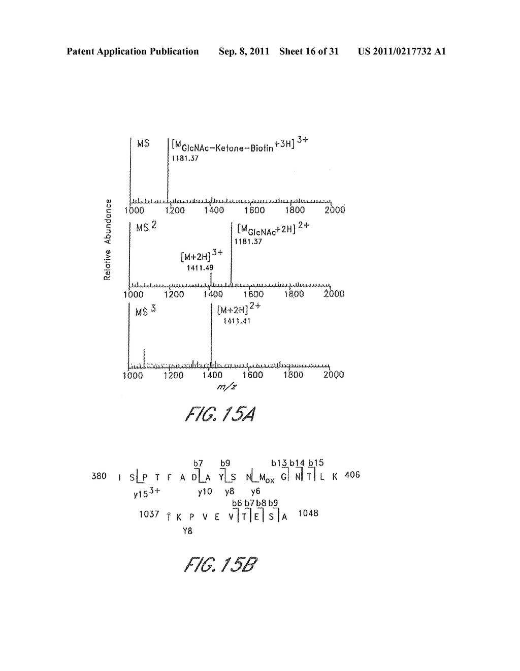 METHOD AND COMPOSITIONS FOR THE DETECTION OF PROTEIN GLYCOSYLATION - diagram, schematic, and image 17