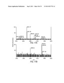 METHOD AND COMPOSITIONS FOR THE DETECTION OF PROTEIN GLYCOSYLATION diagram and image