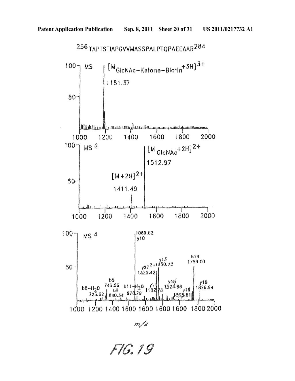 METHOD AND COMPOSITIONS FOR THE DETECTION OF PROTEIN GLYCOSYLATION - diagram, schematic, and image 21