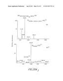 METHOD AND COMPOSITIONS FOR THE DETECTION OF PROTEIN GLYCOSYLATION diagram and image