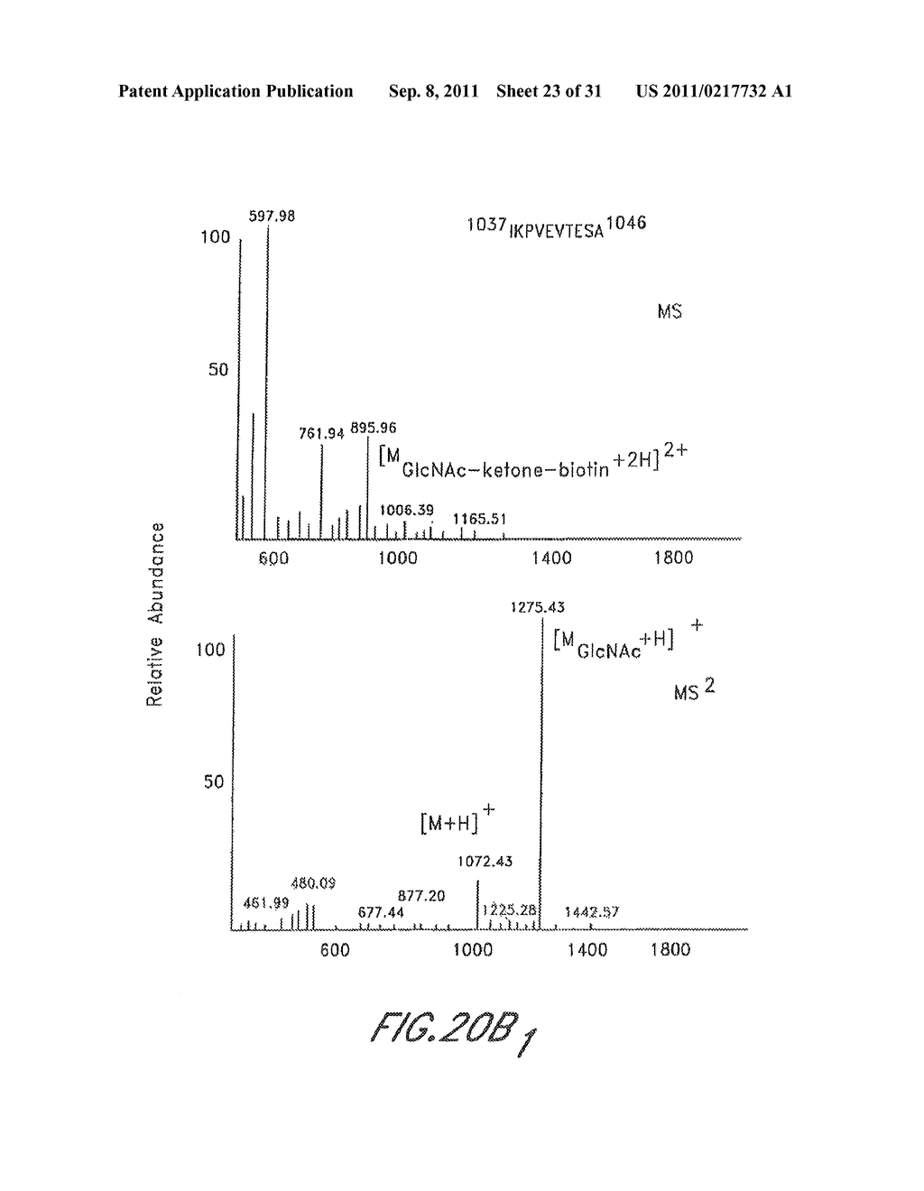 METHOD AND COMPOSITIONS FOR THE DETECTION OF PROTEIN GLYCOSYLATION - diagram, schematic, and image 24