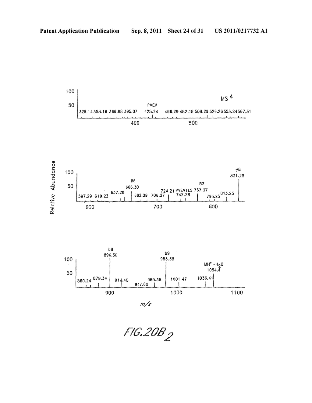 METHOD AND COMPOSITIONS FOR THE DETECTION OF PROTEIN GLYCOSYLATION - diagram, schematic, and image 25