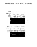 COMPOSITIONS AND METHODS FOR REVERSE TRANSCRIPTASE-POLYMERASE CHAIN     REACTION (RT-PCR) diagram and image