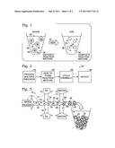 SYSTEM FOR HOT-START AMPLIFICATION VIA A MULTIPLE EMULSION diagram and image