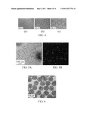 Alginate microbeads, method for forming the same and associated     applications diagram and image