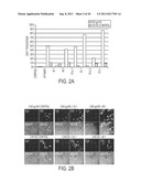 CELL-TYPE SPECIFIC APTAMER-siRNA DELIVERY SYSTEM FOR HIV-1 THERAPY diagram and image