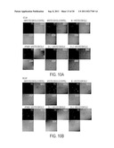 CELL-TYPE SPECIFIC APTAMER-siRNA DELIVERY SYSTEM FOR HIV-1 THERAPY diagram and image