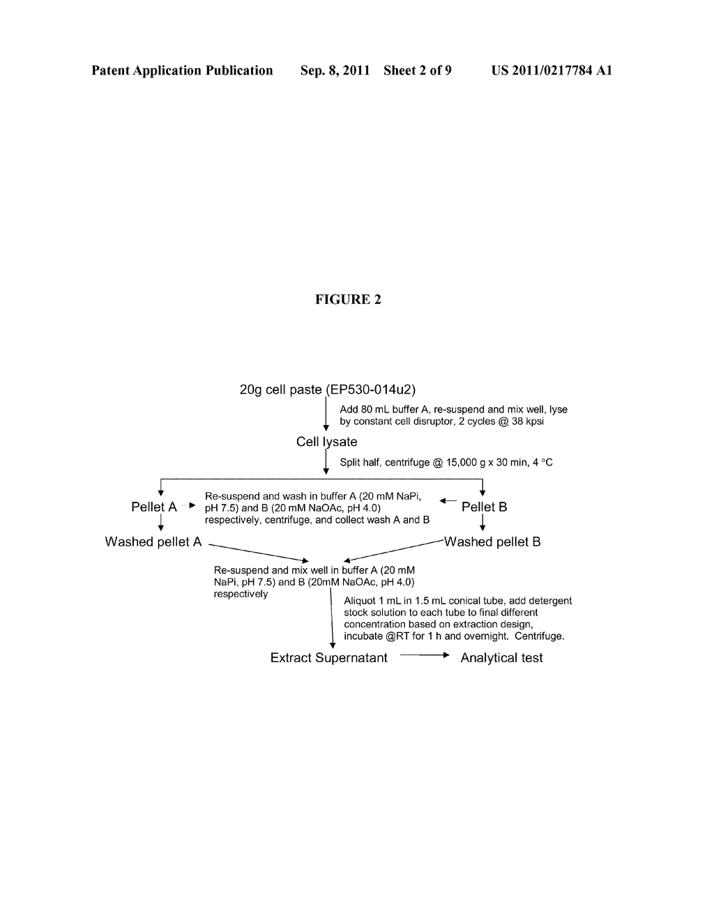 METHOD FOR PRODUCING SOLUBLE RECOMBINANT INTERFERON PROTEIN WITHOUT     DENATURING - diagram, schematic, and image 03