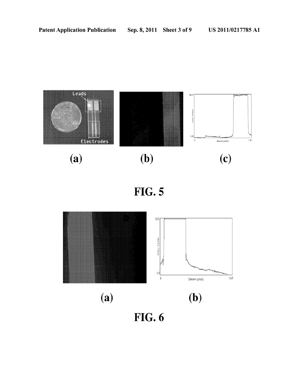 CHITOSAN-COATED WIRES FOR BIOSENSING - diagram, schematic, and image 04