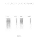 Novel CD3 Epsilon Immunogens And Antibodies diagram and image