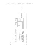 Solid catalyst component for olefin polymerization, catalyst for olefin     polymerization and process for producing olefin polymer diagram and image