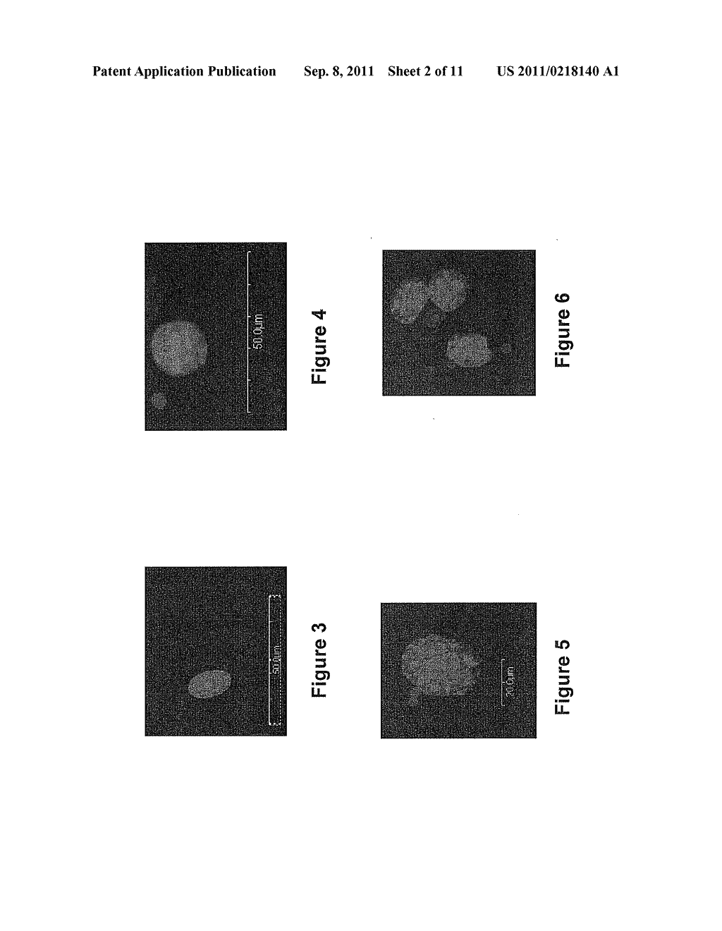 BIODEGRADABLE THERAPEUTIC NANOPARTICLES CONTAINING AN ANTIMICROBIAL AGENT - diagram, schematic, and image 03