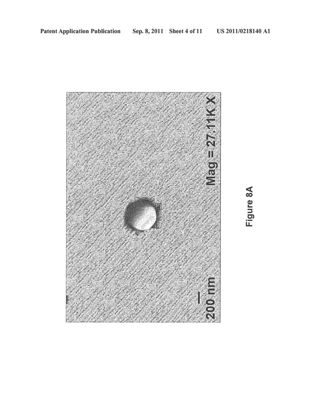 BIODEGRADABLE THERAPEUTIC NANOPARTICLES CONTAINING AN ANTIMICROBIAL AGENT - diagram, schematic, and image 05