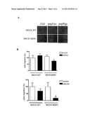 COMPOUNDS FOR STIMULATING P-GLYCOPROTEIN FUNCTION AND USES THEREOF diagram and image