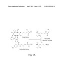 HISTONE DEACETYLASES, AND USES RELATED THERETO diagram and image