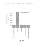 HISTONE DEACETYLASES, AND USES RELATED THERETO diagram and image