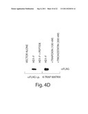 HISTONE DEACETYLASES, AND USES RELATED THERETO diagram and image