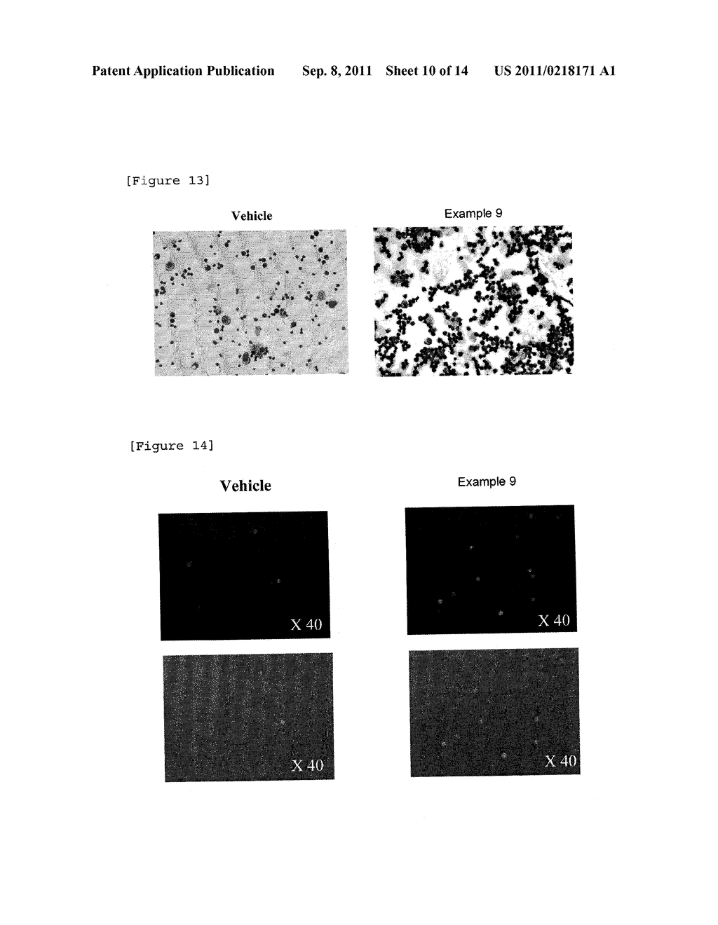 TREHALOSE COMPOUND, METHOD FOR PRODUCING SAME, AND PHARMACEUTICAL PRODUCT     CONTAINING THE COMPOUND - diagram, schematic, and image 11
