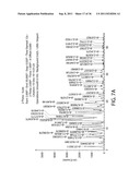 PHARMACEUTICALLY ACCEPTABLE SALTS OF NOVEL BETULINIC ACID DERIVATIVES diagram and image