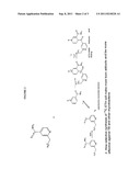 RATIONALLY IMPROVED ISONIAZID AND ETHIONAMIDE DERIVATIVES AND ACTIVITY     THROUGH SELECTIVE ISOTOPIC SUBSTITUTION diagram and image