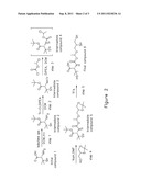 COMPOUND AND COMPOSITION AND THEIR USES THEREOF diagram and image