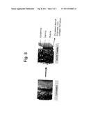 OXIDATITIVE PHOTOACTIVATED SKIN REJEUVENATION COMPOSITION COMPRISING     HYALURONIC ACID, GLUCOSAMINE, OR ALLANTOIN diagram and image