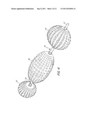 Multi-Balloon Catheter for Extravasated Drug Delivery diagram and image