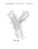 Multi-Balloon Catheter for Extravasated Drug Delivery diagram and image