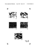 Self-Regenerating Drug-Delivering Stent diagram and image