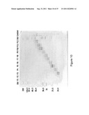 Programmable Electrophoretic Notch Filter Systems and Methods diagram and image