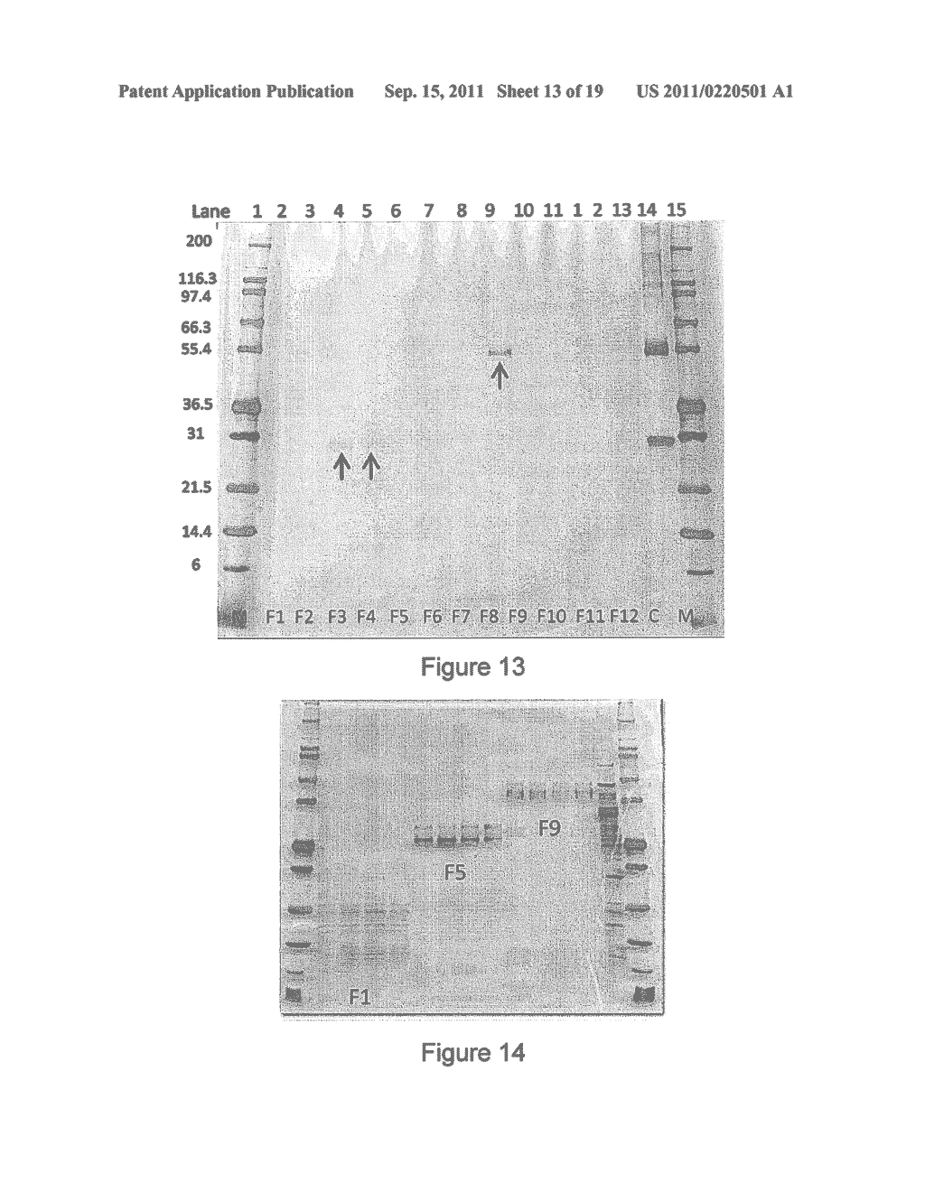 Programmable Electrophoretic Notch Filter Systems and Methods - diagram, schematic, and image 14