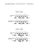 TWO-IMAGE DISPLAY APPARATUS diagram and image