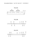 TRANSPORT APPARATUS AND RECORDING APPARATUS diagram and image