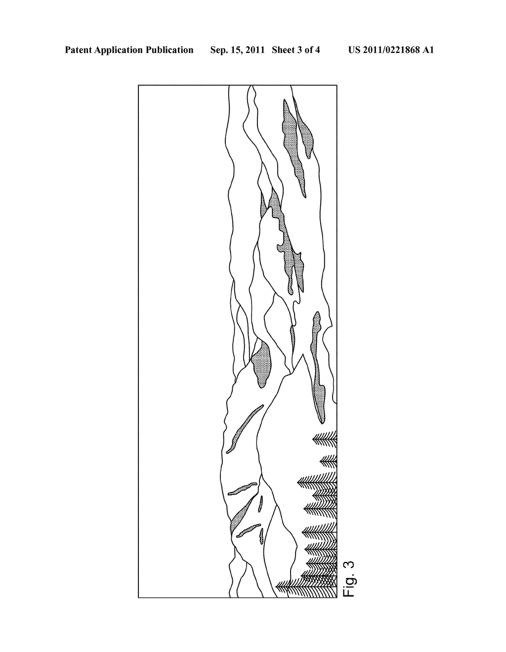 Information Reproducing Apparatus - diagram, schematic, and image 04