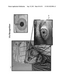 DISPLAYED CONTENT DIGITAL STABILIZATION diagram and image