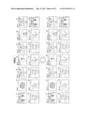 IMAGE PROCESSING APPARATUS, IMAGE PROCESSING METHOD AND PROGRAM diagram and image