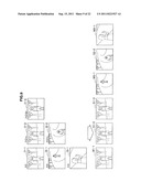 IMAGE PROCESSING APPARATUS, IMAGE PROCESSING METHOD AND PROGRAM diagram and image