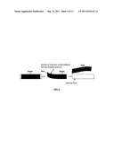 PHOTONIC CRYSTAL DEVICE diagram and image