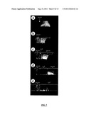 PHOTONIC CRYSTAL DEVICE diagram and image