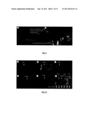 PHOTONIC CRYSTAL DEVICE diagram and image